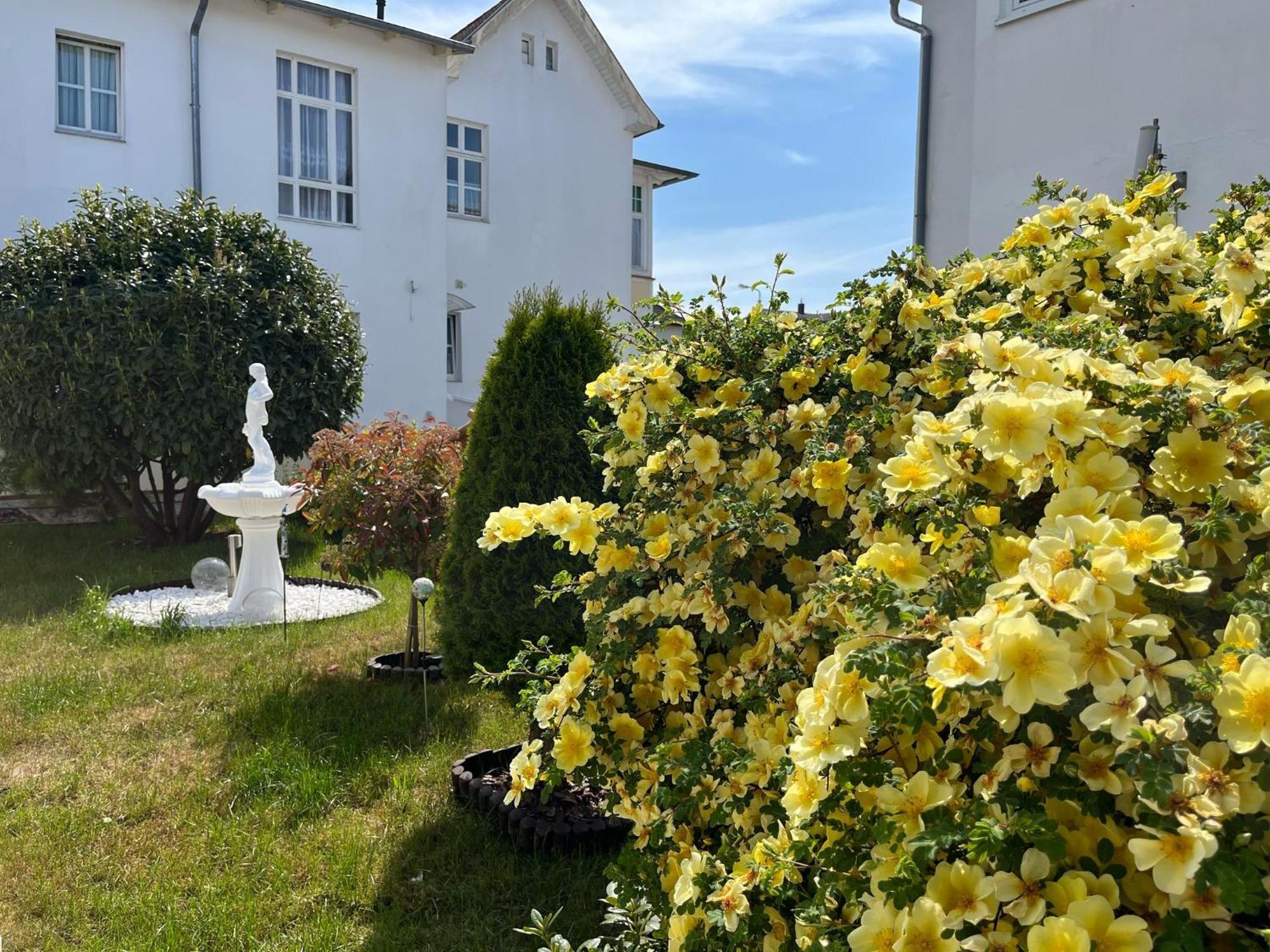 Pension Mittag Heringsdorf  Exterior photo